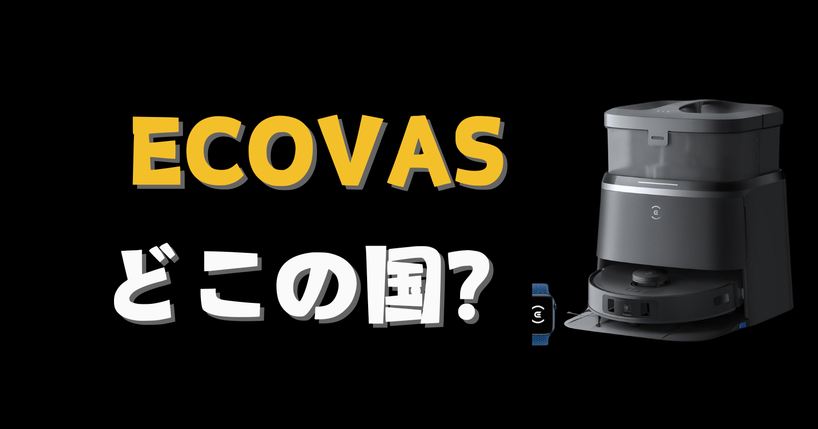 ECOVASどこの国